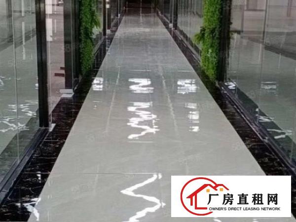  观澜樟坑径大型园区100到5000大小面积现成装修厂房出租