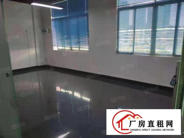  观澜樟坑径大型园区100到5000大小面积现成装修厂房出租