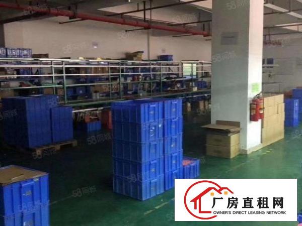  观澜松元大布头花园式工业园新出带精装修整层1760平转让