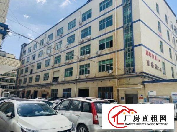  观澜樟坑径新出楼上900平厂房，精装修，无转让费