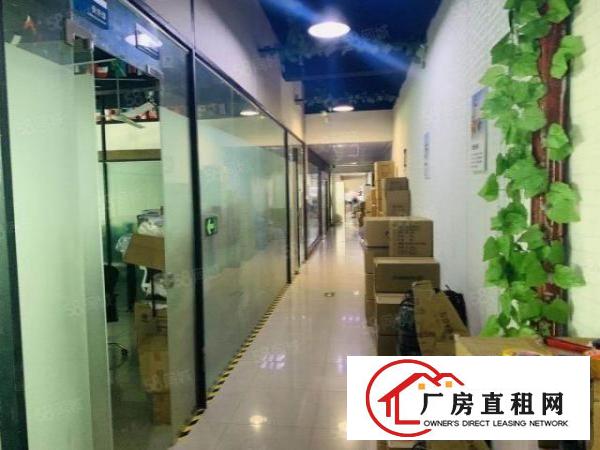  观澜樟坑径新出楼上900平厂房，精装修，无转让费