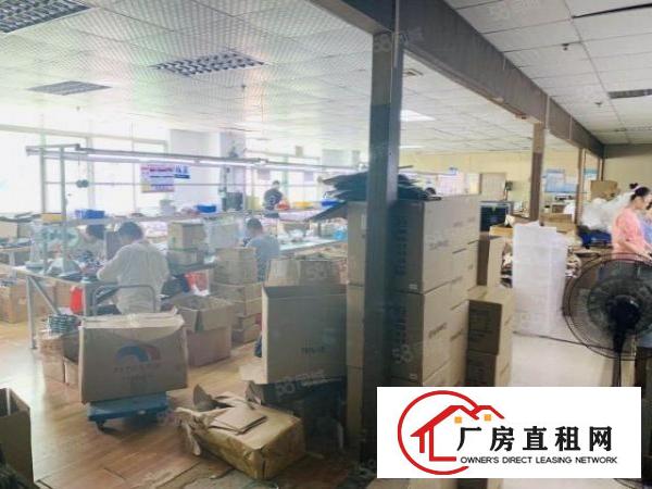  观澜樟坑径新出楼上900平厂房，精装修，无转让费