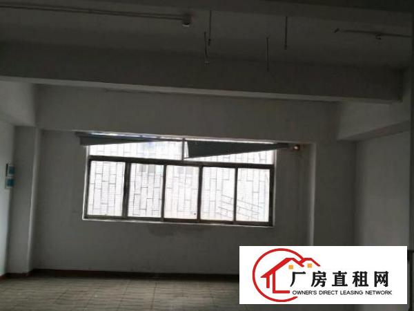  新安洪浪北地铁口厂房100-300平米办公室出租