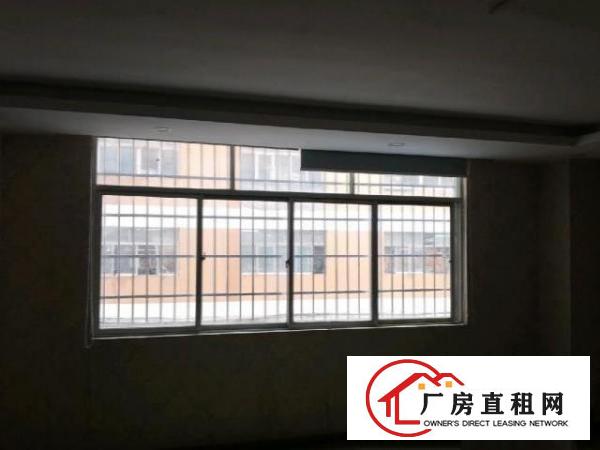  新安洪浪北地铁口厂房100-300平米办公室出租