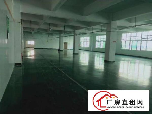  宝安翻身8000平米整栋办公室厂房出租