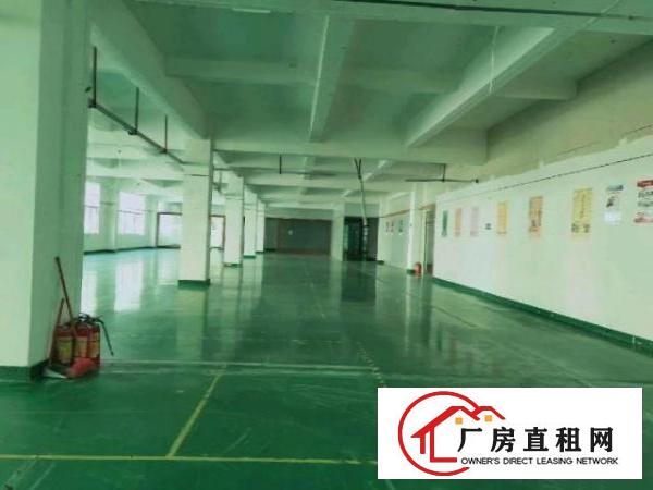  宝安翻身8000平米整栋办公室厂房出租