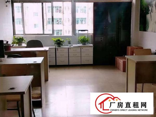  出租宝安新安洪浪北B出口地铁口间仓库厂房办公室