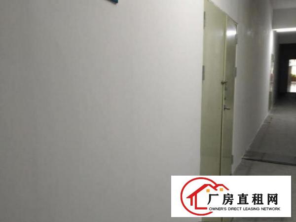  出租宝安新安洪浪北B出口地铁口间仓库厂房办公室