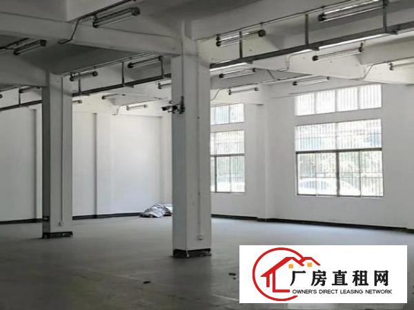  兴东地铁旁独院1楼100~1960㎡厂房、办公楼可分租