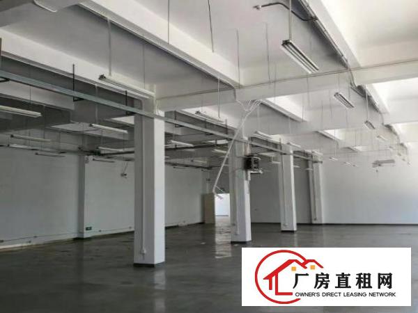  兴东地铁旁独院1楼100~1960㎡厂房、办公楼可分租