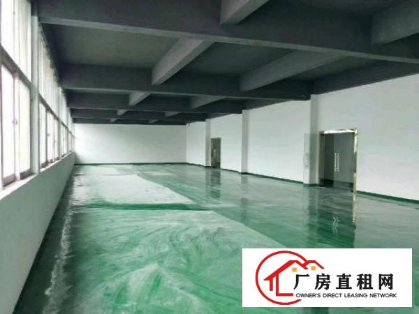  兴东200至300至500平米大小面积厂房仓库出租
