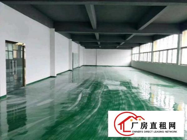  兴东200至300至500平米大小面积厂房仓库出租