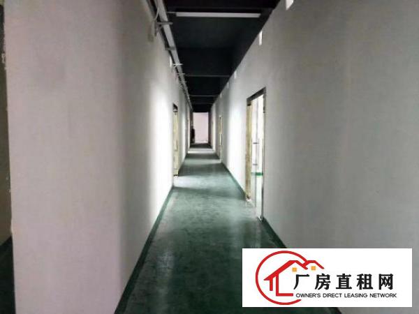  兴东200至300至500平米大小面积厂房仓库出租
