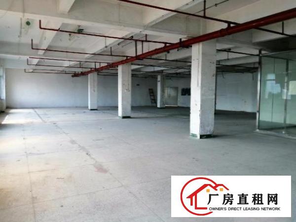  宝安区新安洪浪北地铁口附近工业厂房招租