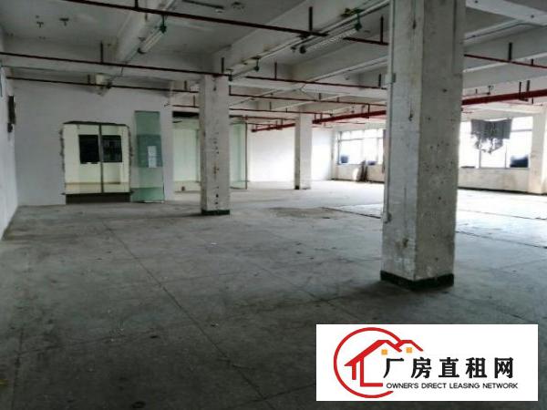  宝安区新安洪浪北地铁口附近工业厂房招租