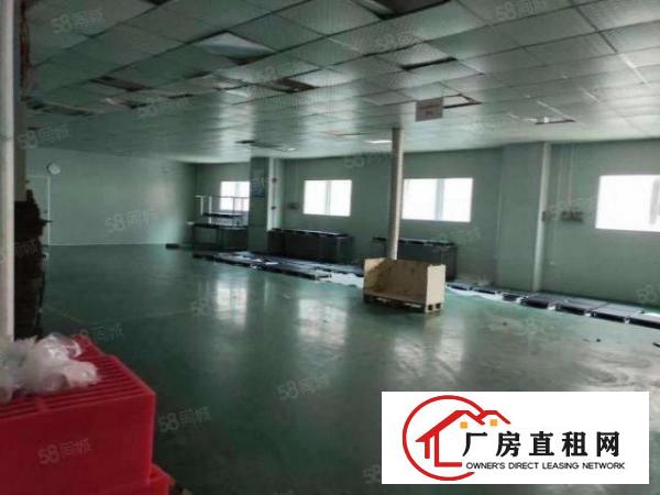  石岩应人石1500平米厂房仓库出租带消防喷淋卸货平台