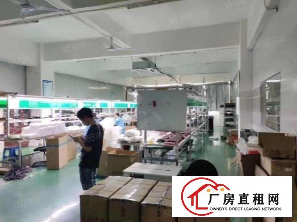  石岩应人石1500平米厂房仓库出租带消防喷淋卸货平台