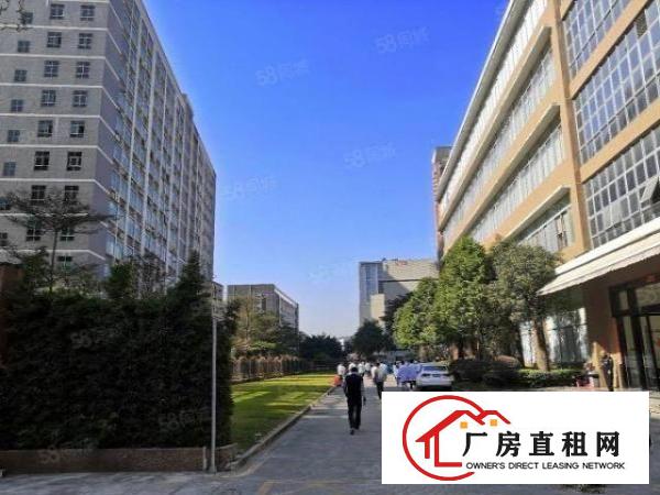  石岩高新园区新出12765平整栋厂房出租，超长合同期