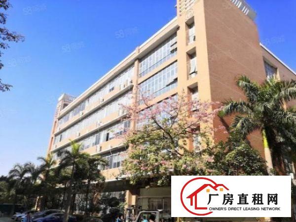  石岩高新园区新出12765平整栋厂房出租，超长合同期