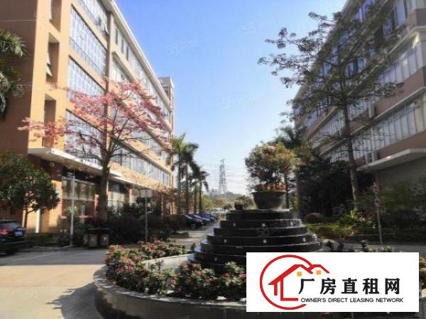  石岩高新园区新出12765平整栋厂房出租，超长合同期