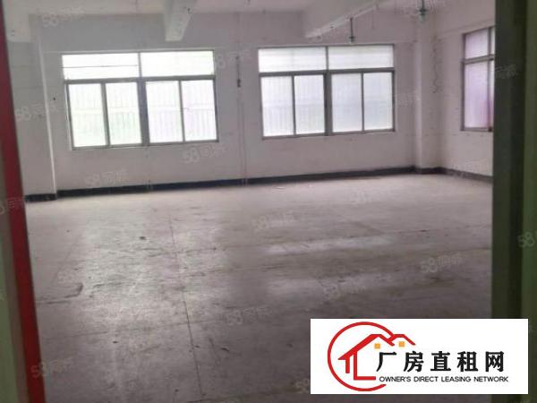  新安(临时仓库)175平375平550平厂房仓库可短租