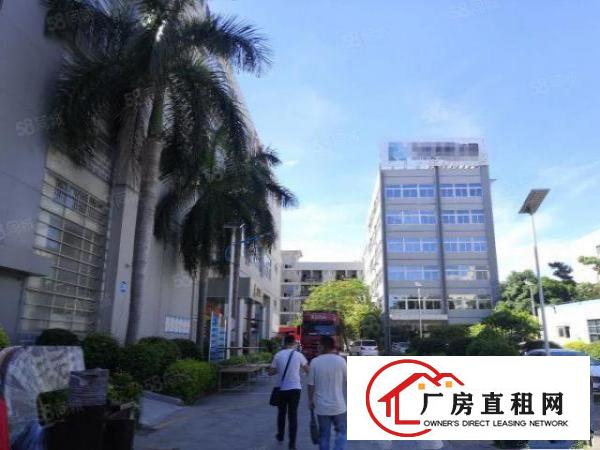 石岩塘头新出原房东6000平厂房出租，大小可分租