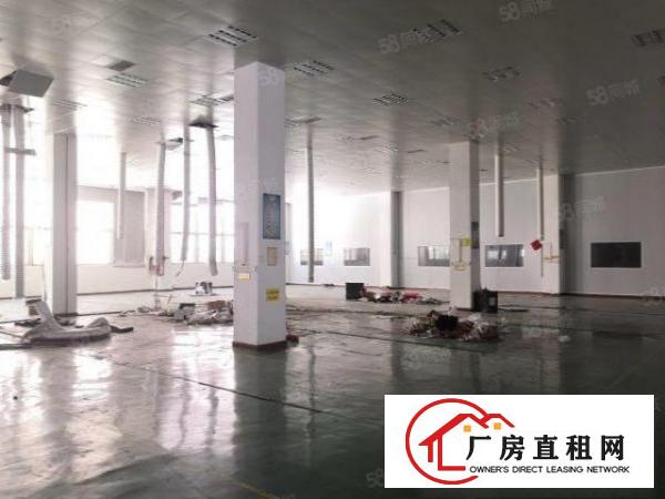  石岩塘头新出原房东6000平厂房出租，大小可分租