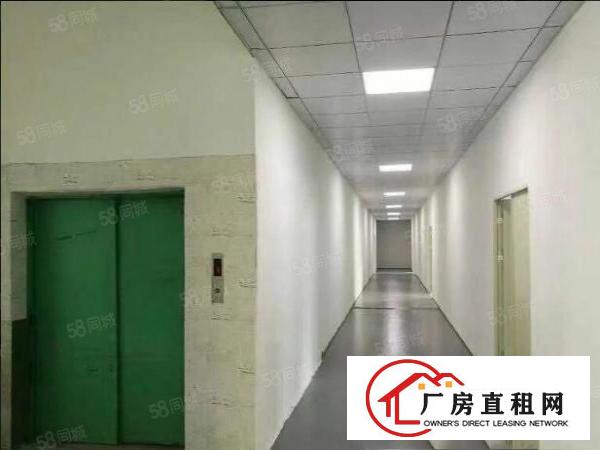  兴东新空出140平厂房办公室仓库出租近兴东地铁站