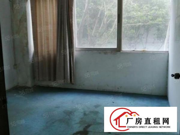  洪浪北地铁口附近95平方办公室出租