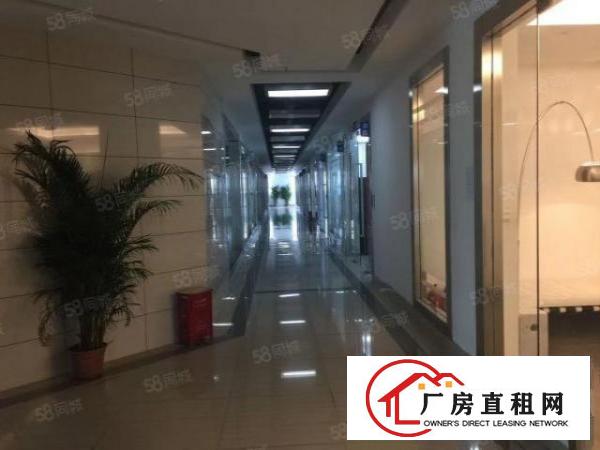  TCL国际E城办公研发楼500，800精装修，一房东直租
