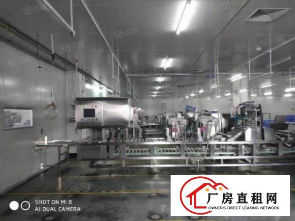  东莞食品厂房出租，现成无尘车间，食品产业园厂房出租2000平