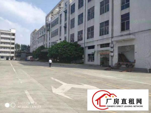  东莞食品厂房出租，现成无尘车间，食品产业园厂房出租2000平