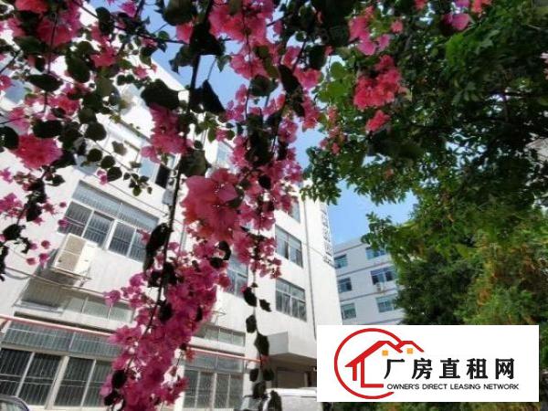  5号线地铁口厂房，仓库整层1500平，大小可分租