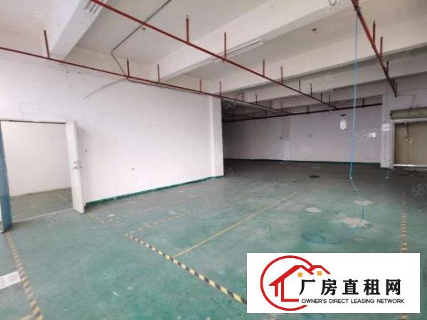  公明合水口800全新一楼厂房出租