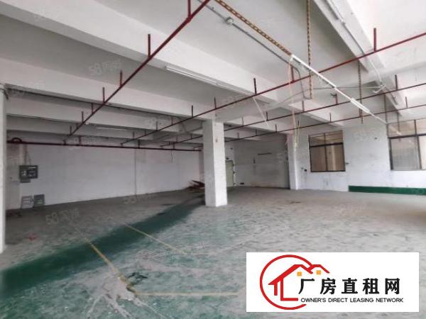  公明合水口800全新一楼厂房出租