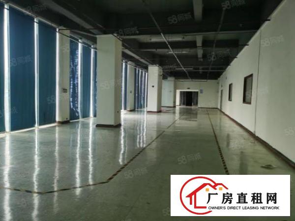  公明合水口800全新一楼厂房出租