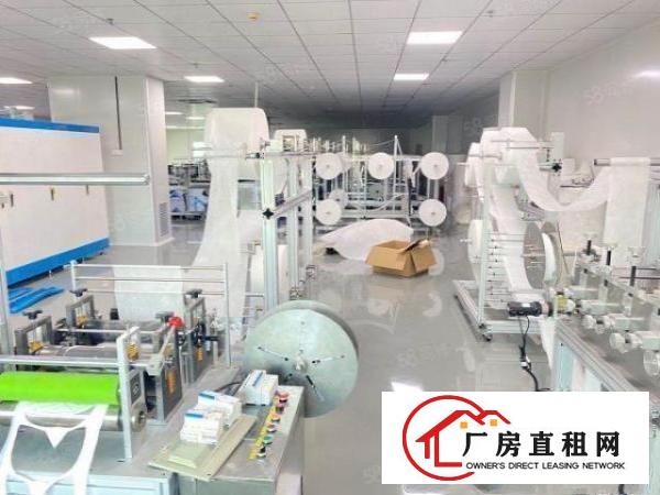  原房东花园式厂房，楼上1382平，实际面积出租，精美装修