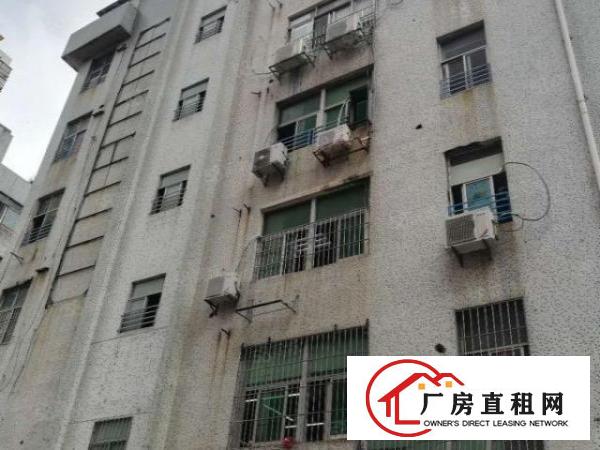  非中介宝安区业主直租厂房商铺