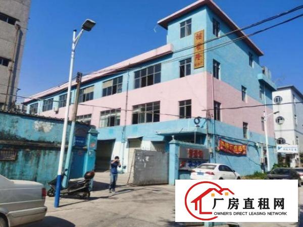  业主出租107国道正旁整层540平方带装修可分租