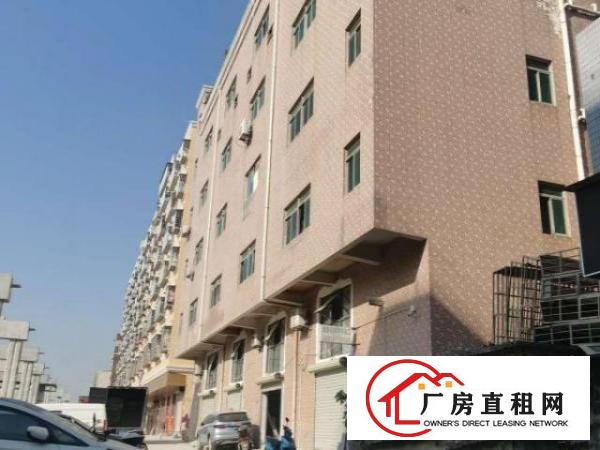  业主出租107国道正旁整层540平方带装修可分租