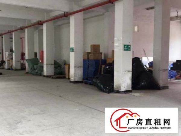  西乡铁岗桃花源科技园一楼办公出租