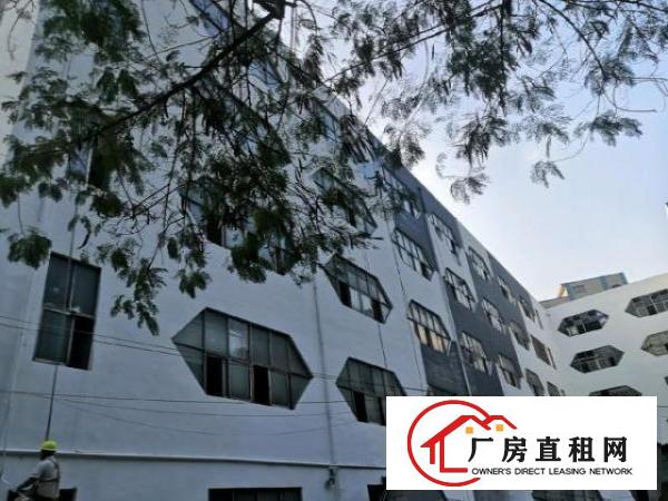  西乡客运站自有红本物业8000平米精装修招租