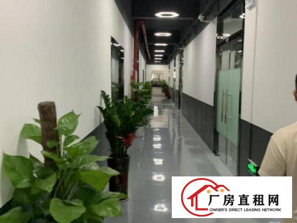  西乡客运站自有红本物业8000平米精装修招租