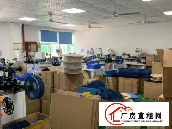  西乡厂房带装修全包30