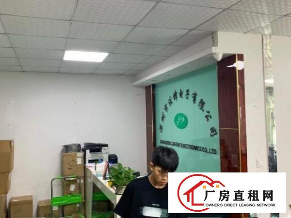  西乡厂房带装修全包30