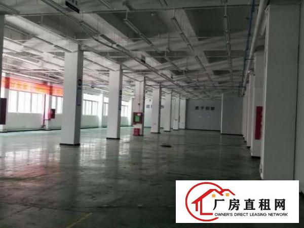  臣田工业区一楼精装修2600平出租