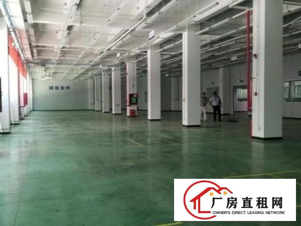  臣田工业区一楼精装修2600平出租