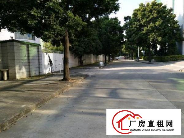  西乡臣田200-3000平米厂房招租