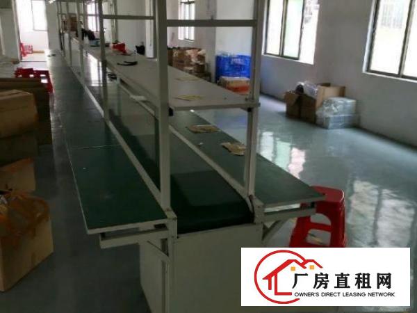  带精装修，全新带一条流水线