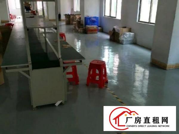  带精装修，全新带一条流水线